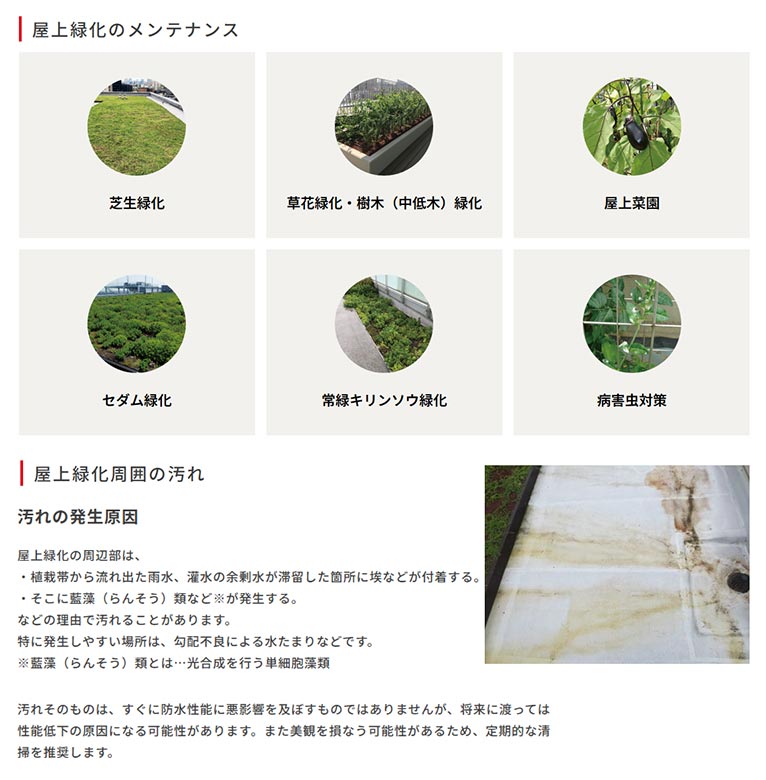 田島緑化プラス株式会社 紹介ページ 屋上緑化の専門会社です 屋上緑化のメンテナンス
