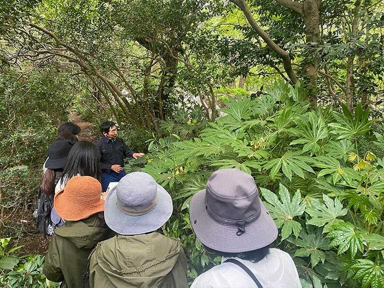 2025年4月20日現地集合！JGNナーセリーツアー『川原田邦彦さんの確実園園芸場でフジを楽しむ』を終えて　園内には珍しい植物がいっぱい