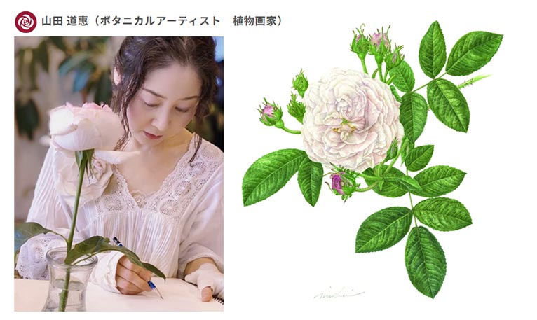 2025年5月17～19日『Rose Expo FUKUYAMA 2025』ばらの展示　JGNメンバー山田 道惠さんのボタニカルアートが展示されます！