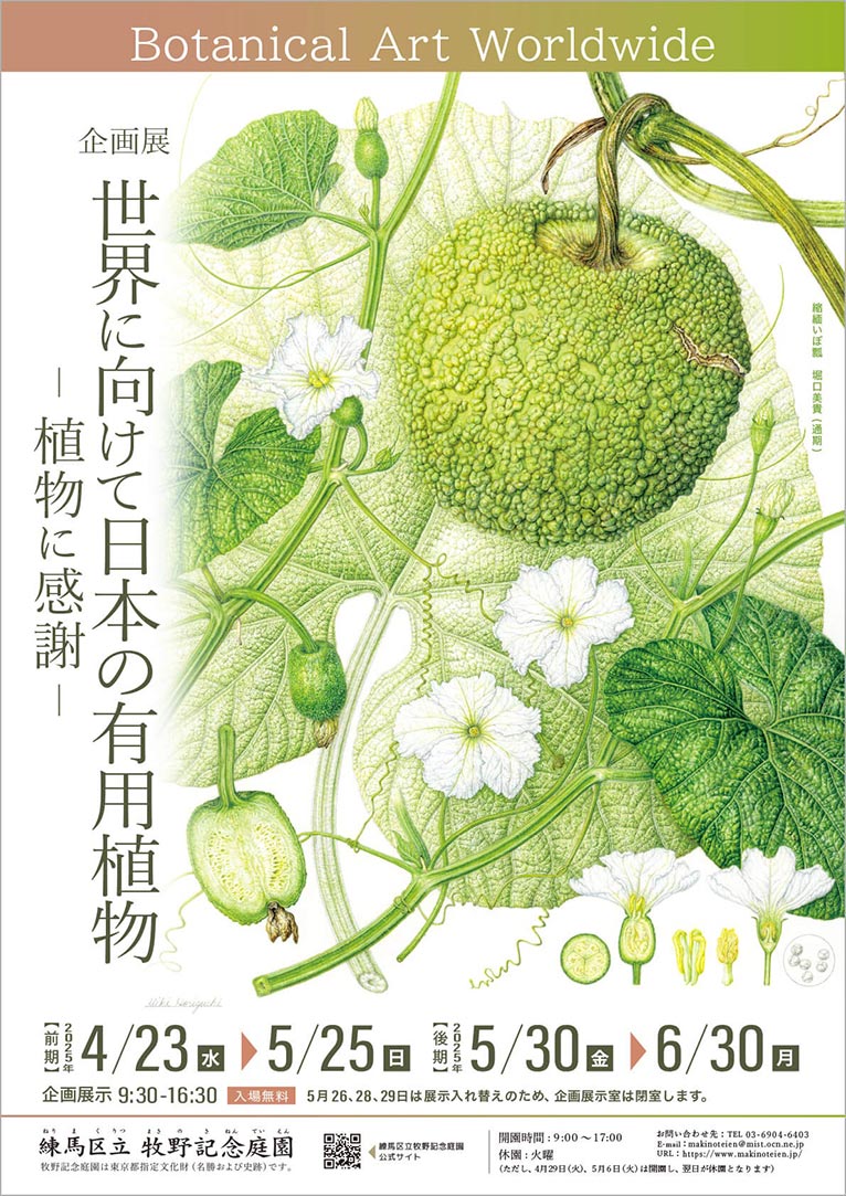 2025年4月23日～6月30日『Botanical Art Worldwide 世界に向けて日本の有用植物 -植物に感謝-』牧野記念庭園