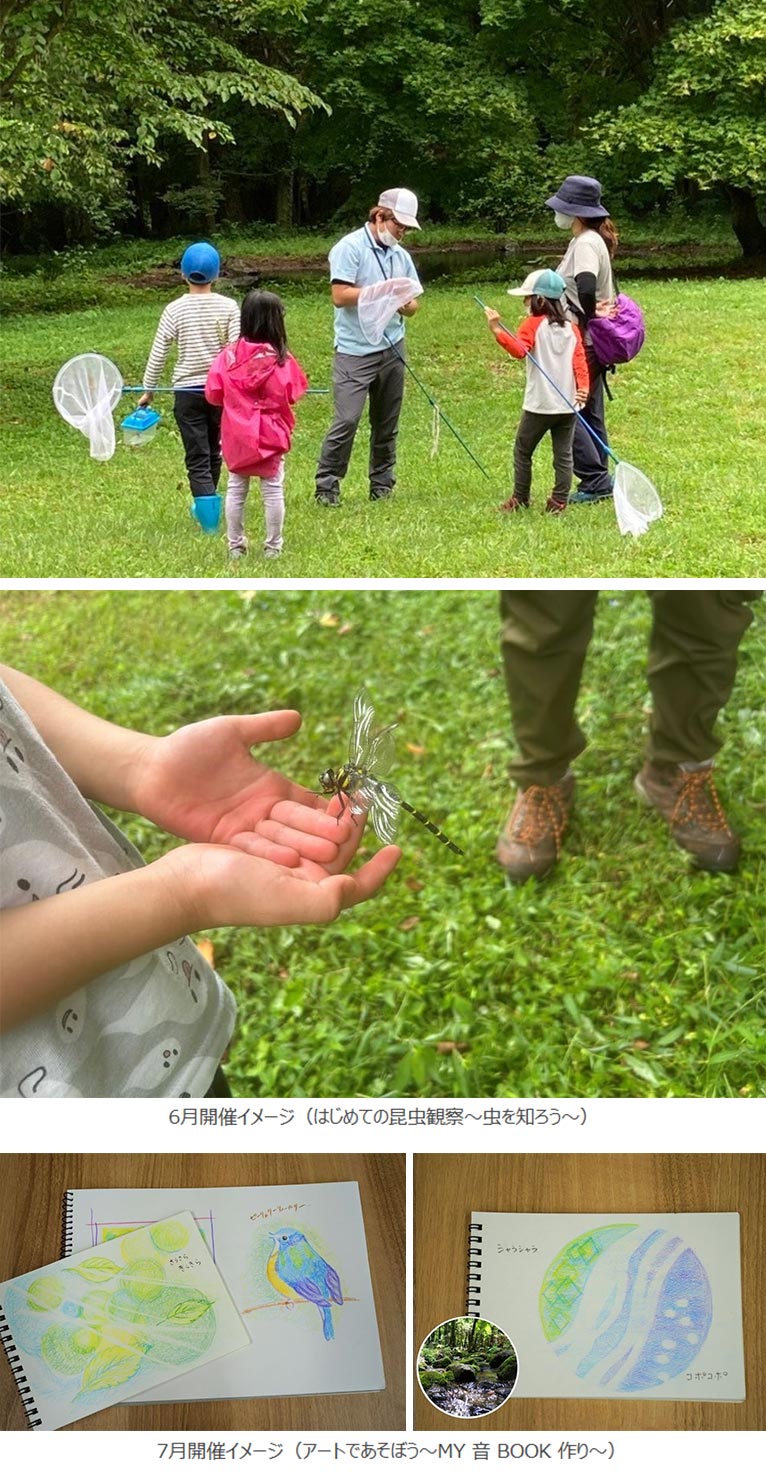 赤城自然園お子様向けのプログラム　森 de あそぼう in 生活の森【要予約】