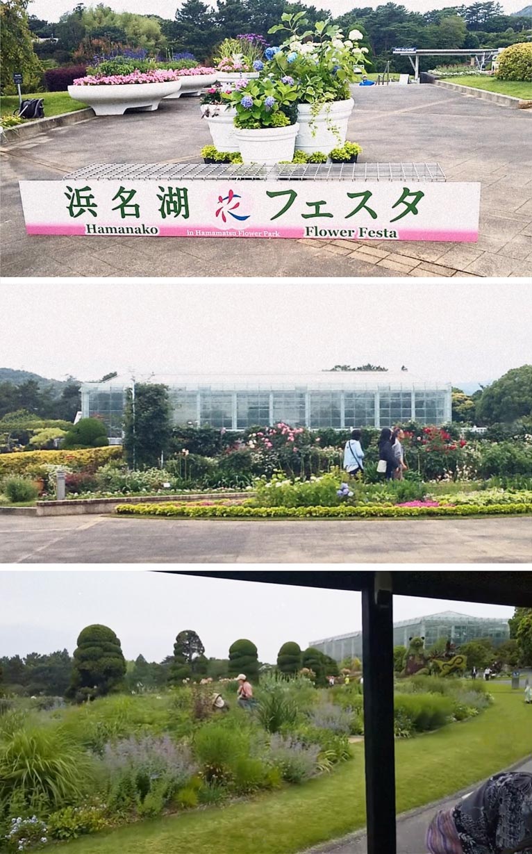 2025年4月18日~4月30日 JGN会員プレゼント! 「浜名湖花フェスタ2025」招待券 ペア7組様・おひとり様6名様 《はままつフラワーパーク様ご提供》 当選の会員様よりお写真とコメントをいただきました!神奈川、ハーブとアロマを楽しむ教室 中山 孝子様