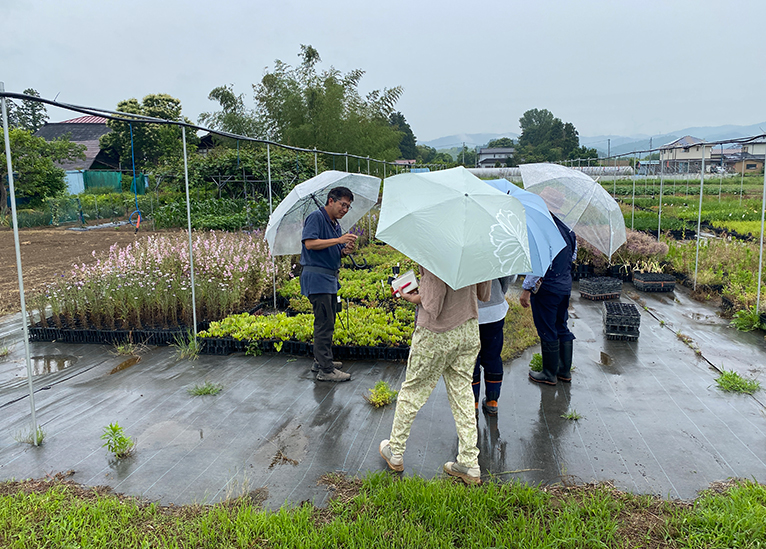 2025年6月14日現地集合！JGNナーセリーツアー『はるはなファーム見学と植物苗ショッピング』を終えて　露地圃場で植物の説明
