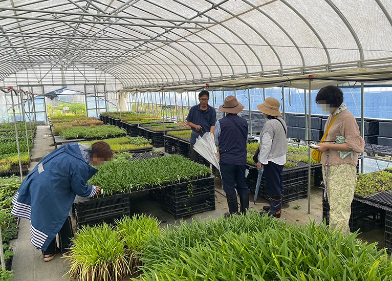 2025年6月14日現地集合！JGNナーセリーツアー『はるはなファーム見学と植物苗ショッピング』を終えて　育苗中のハウス内で