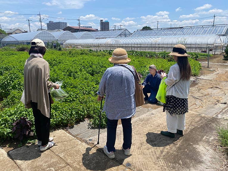 2025年6月21日開催JGNナーセリーツアー『ニイクラファーム見学とハーブコースランチ』を終えて　渡る風が香りを運んでくる農場内