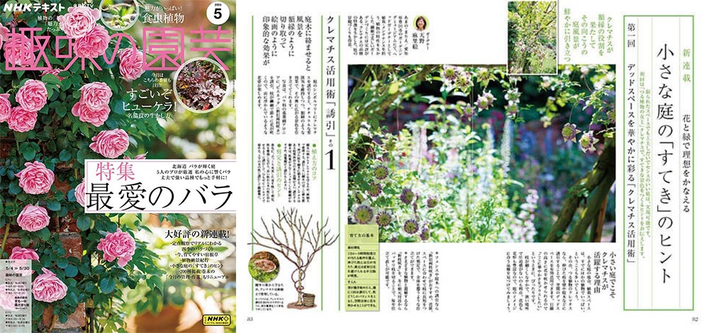 NHK趣味の園芸2025.5月号【新連載】花と緑で理想をかなえる 小さな庭の「すてき」のヒント第1回デッドスペースを華やかに彩る「クレマチス活用術」JGN創立メンバー 花遊庭ガーデナー 天野 麻里絵氏