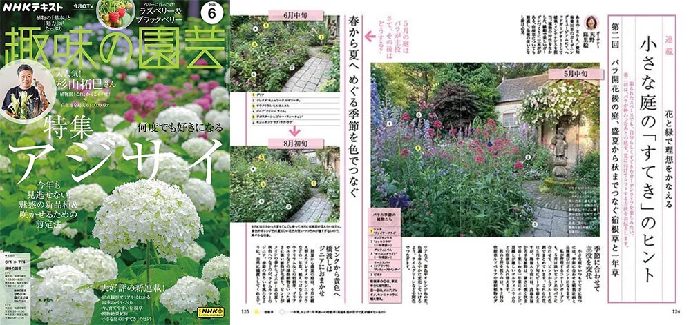 NHK趣味の園芸2025.5月号　花と緑で理想をかなえる 小さな庭の「すてき」のヒント　第2回「バラ開花後の庭、盛夏から秋までつなぐ宿根草と一年草」JGN創立メンバー 花遊庭ガーデナー 天野 麻里絵氏