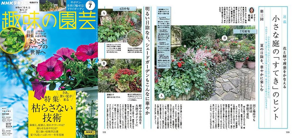 NHK趣味の園芸2025.7月号　花と緑で理想をかなえる 小さな庭の「すてき」のヒント　第3回「夏の日陰を、華やかに楽しむ」JGN創立メンバー 花遊庭ガーデナー 天野 麻里絵氏