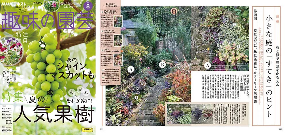 NHK趣味の園芸2025.2025.8月号【連載】花と緑で理想をかなえる 小さな庭の「すてき」のヒント第4回「夏は元気に、秋は優雅に。カラーリーフ活用術」JGN創立メンバー 花遊庭ガーデナー 天野 麻里絵氏