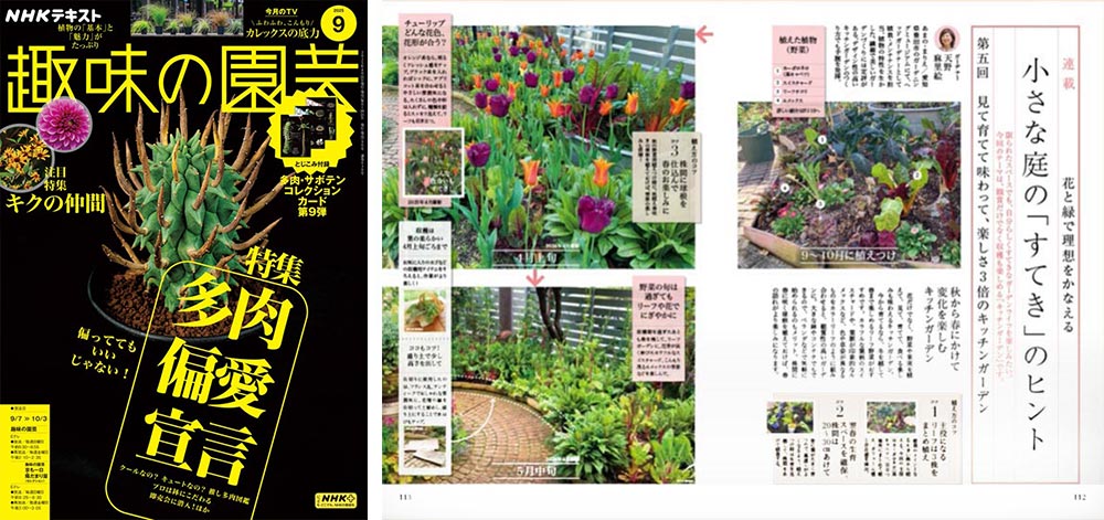 NHK趣味の園芸2025.9月号【連載】花と緑で理想をかなえる 小さな庭の「すてき」のヒント 第5回見て育てて味わって、楽しさ3倍のキッチンガーデン JGN創立メンバー 花遊庭ガーデナー 天野 麻里絵氏
