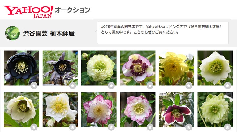 株式会社 渋谷園芸　Yahoo!オークション 渋谷園芸 植木鉢屋