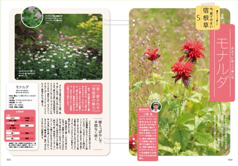 NHK趣味の園芸2025.7月号【連載】懐かしくて新しい 今、育てやすい 宿根草　第5回「モナルダ」JGN創立メンバー 園芸家 小黒 晃氏