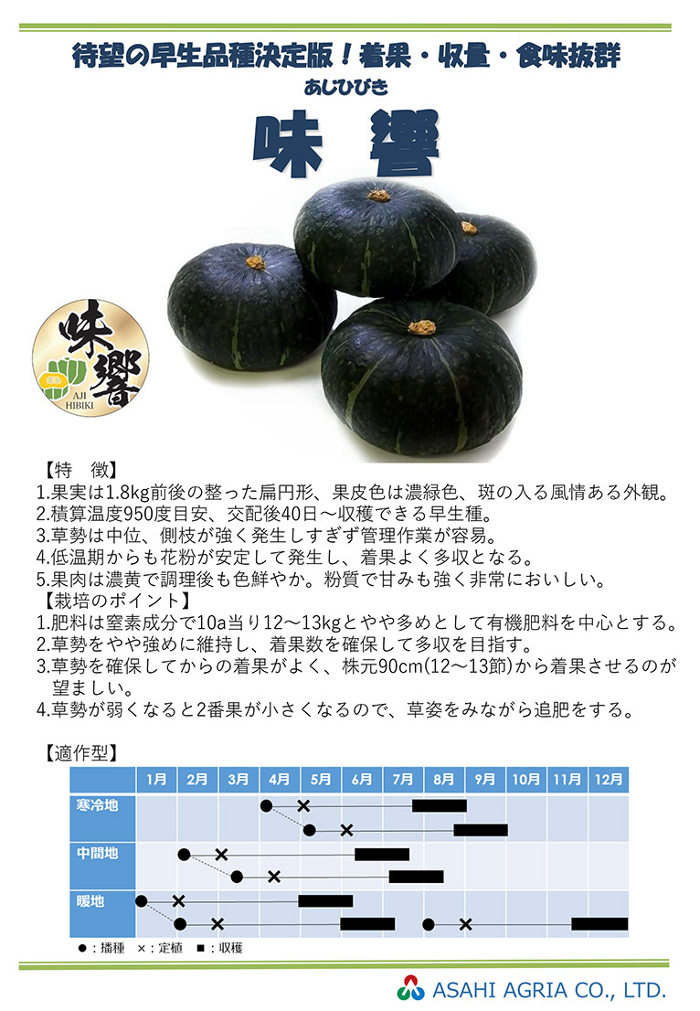 新商品のご案内
カボチャ新品種 「味響」販売開始 朝日アグリア株式会社