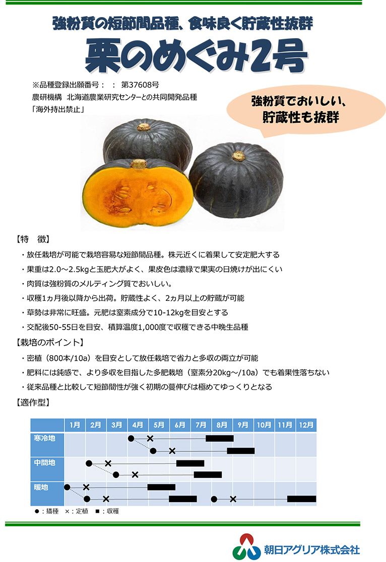 新商品のご案内
カボチャ新品種「栗のめぐみ2号」販売開始 朝日アグリア株式会社