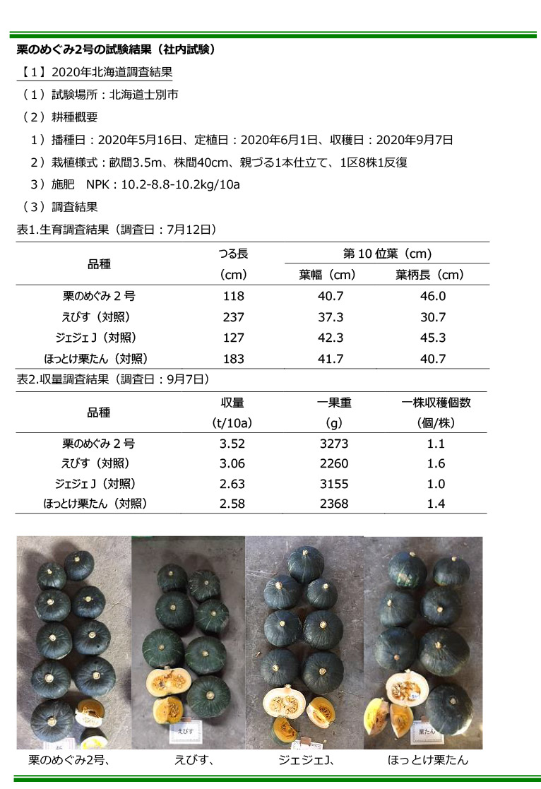 新商品のご案内
カボチャ新品種「栗のめぐみ2号」販売開始 朝日アグリア株式会社
