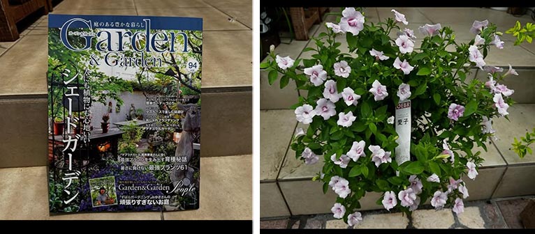 『Garden&Garden vol.94 2025年秋号』JGNメンバーの方々が掲載されています！『終わりなき挑戦！暑さ寒さに負けない！”最強プランツ”を生み出す育種秘話』「ゲブラナガトヨ」荒井芳夫氏ゲブラナガトヨさんがInstagramでご紹介されています