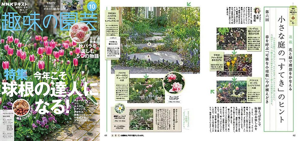 NHK趣味の園芸2025.10月号【連載】花と緑で理想をかなえる 小さな庭の「すてき」のヒント 第6回 春を呼ぶ「可憐な小球根」今が植えどき JGN創立メンバー 花遊庭ガーデナー 天野 麻里絵氏