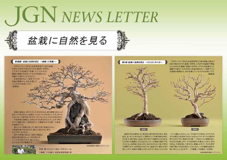 JGN会員限定コンテンツ　盆栽に自然を見る リスト　JGN創立メンバー 九霞園 二代目園主 村田 勇氏