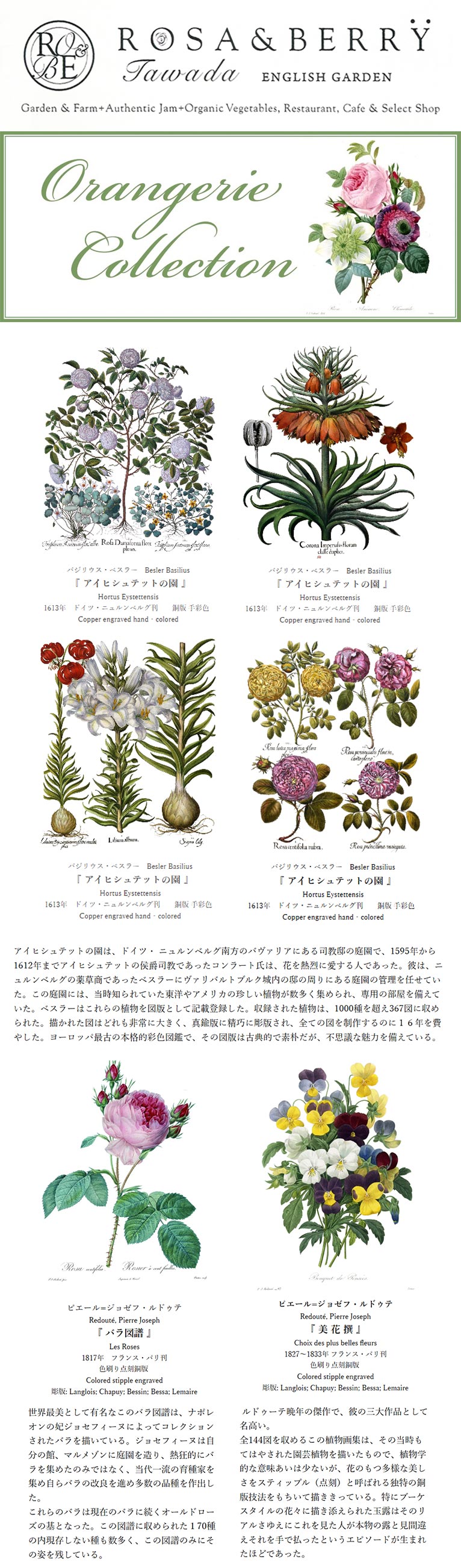 2025年11月7～9日『展示販売会～ボタニカルアートの世界～』【予約受付中】オランジェリー・コレクション  大根 恒子氏によるトークショー　ROSE & BERRY Tawada　ローザンベリー多和田