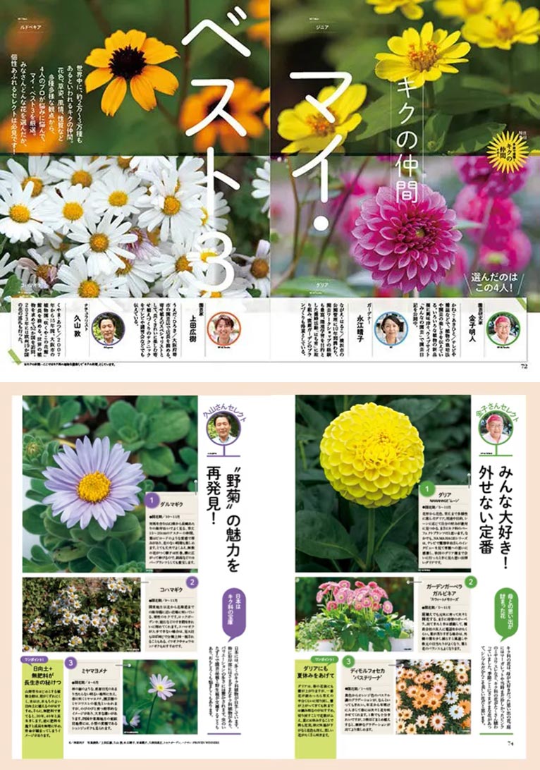 NHK趣味の園芸2025.9月号 キクの仲間 マイ・ベスト3 JGN創立メンバー 金子 明人氏 JGN創立メンバー 久山 敦氏