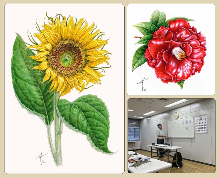植物を学び、描くことで楽しむ ボタニカルアート　川口カルチャーセンター　自然史植物画研究会 代表・植物画家・JGNメンバー 小林英成
