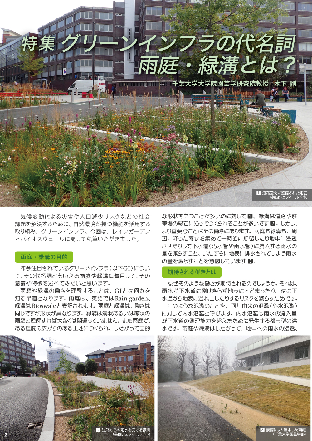 【JGNイベント記念限定公開 2025年9月17日～10月20日15：00】JGN NEWS LETTER 2024年初冬号 Vol.22　特集 グリーンインフラの代名詞　雨庭・緑溝とは？　千葉大学大学院園芸学研究院教授 木下 剛氏