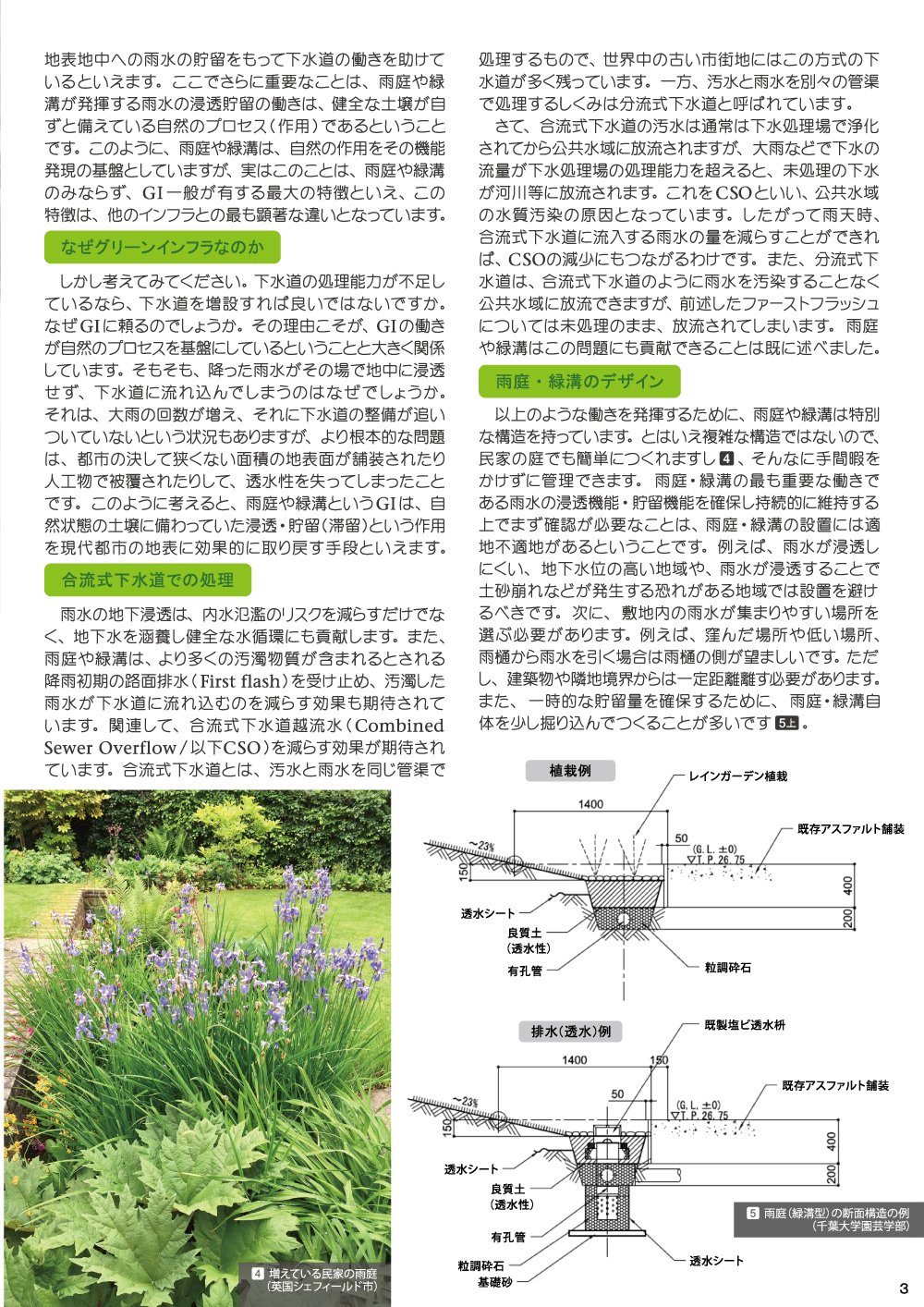 【JGNイベント記念限定公開 2025年9月17日～10月20日15：00】JGN NEWS LETTER 2024年初冬号 Vol.22　特集 グリーンインフラの代名詞　雨庭・緑溝とは？　千葉大学大学院園芸学研究院教授 木下 剛氏