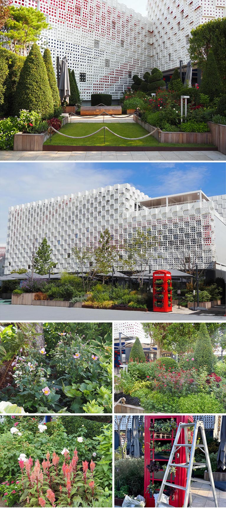 大阪関西万博 英国パビリオン 9月の補植fantail garden 田中美紀