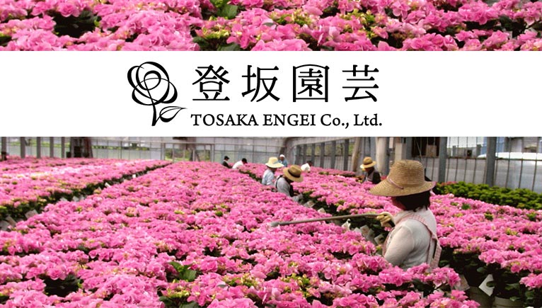登坂園芸 紹介ページ