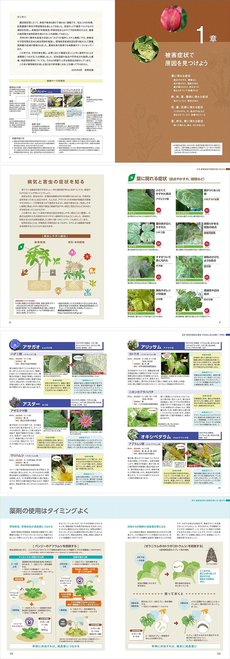 症状で調べる 写真でわかる　減農薬で防げて治せる草花・多肉・観葉植物の病害虫　著者：草間 祐輔
