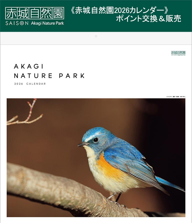 《赤城自然園2026カレンダー》2025年9月16日～12月31日ポイント交換　10月初旬ごろ～販売開始予定