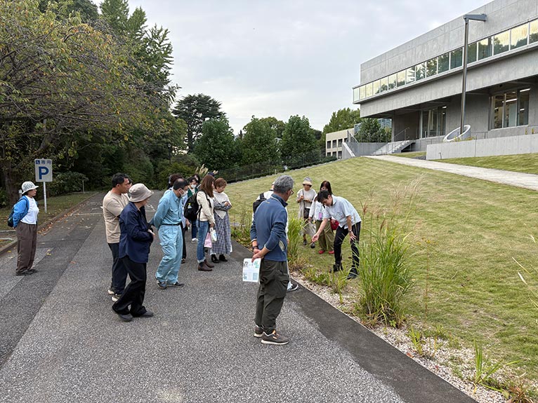 2025年10月18日　JGNイベント『レインガーデン見学と日英グリーンインフラの今を聞く』～木下剛さん・佐藤麻貴子さんのレクチャーとレインガーデン見学～を終えて　レインガーデン見学