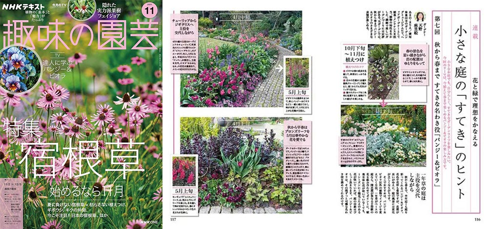 NHK趣味の園芸2025.11月号【連載】花と緑で理想をかなえる 小さな庭の「すてき」のヒント 第7回 秋から春まで　すてきな名わき役「パンジー&ビオラ」 JGN創立メンバー 花遊庭ガーデナー 天野 麻里絵氏