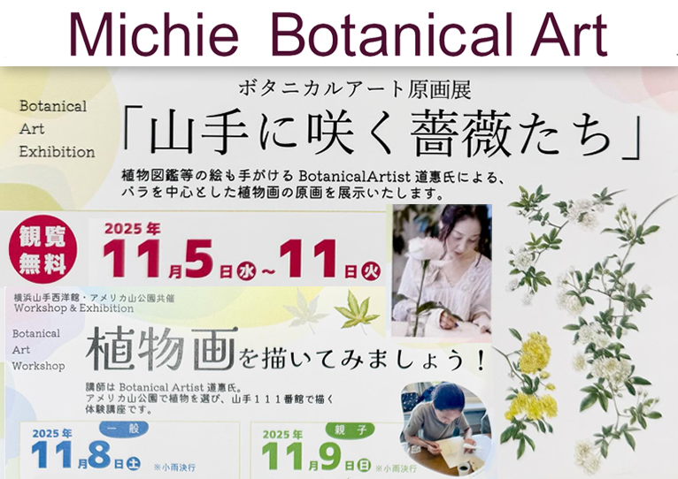 終了】2025年11月5～11日道惠 ボタニカルアート原画展『山手に咲く薔薇