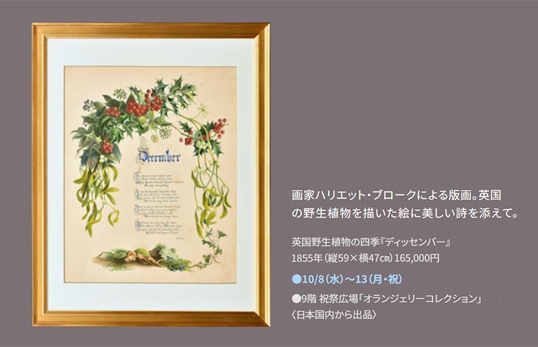 2025年10月8～13日(前半)15～20日(後半)阪急うめだ本店『英国フェア2025』植物画を展示販売します！ オランジェリー・コレクション
