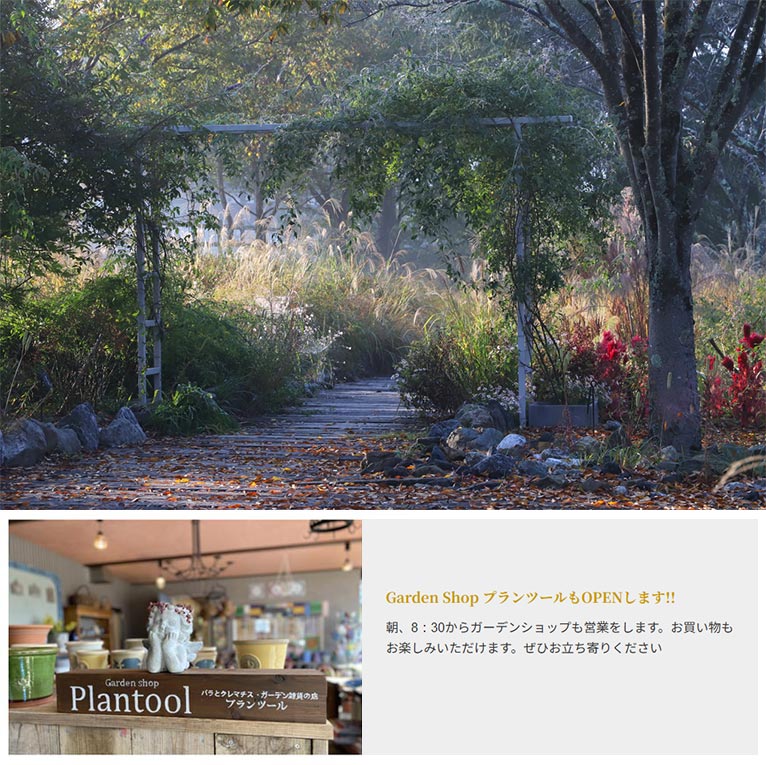 2025年11月1~3日『秋の朝もやガーデン』ROSA & BERRY Tawada ローザンベリー多和田