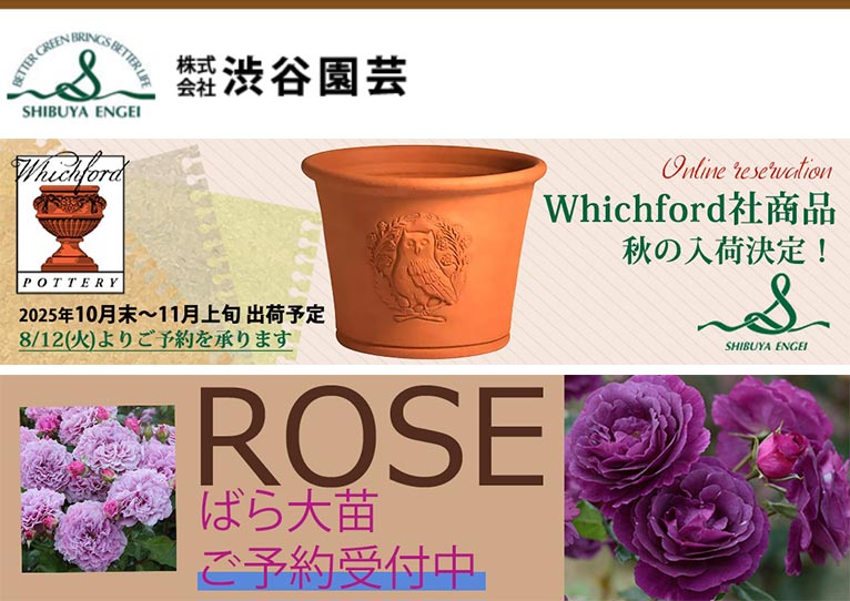 明治時代　瀬戸　尾張　池林堂半七　加藤半七　青磁　染付　植木鉢　盆栽鉢　プランタ 明治時代 瀬戸 尾張 池林堂半七 加藤半七 青磁 染付 植木鉢 盆栽鉢