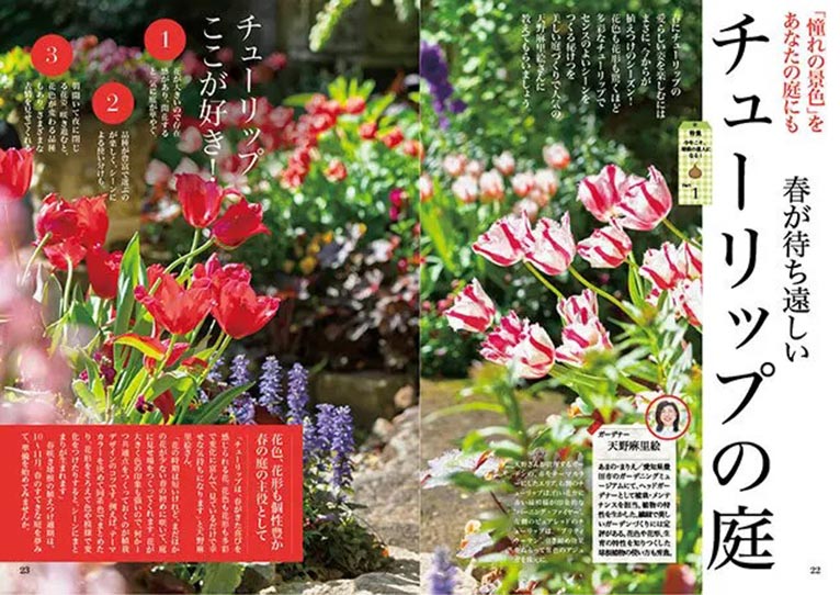 NHK趣味の園芸2025.10月号【特集】今年こそ、球根の達人になる！Part1「憧れの景色」をあなたの庭にも　春が待ち遠しい チューリップの庭　JGN創立メンバー 花遊庭ガーデナー 天野 麻里絵氏