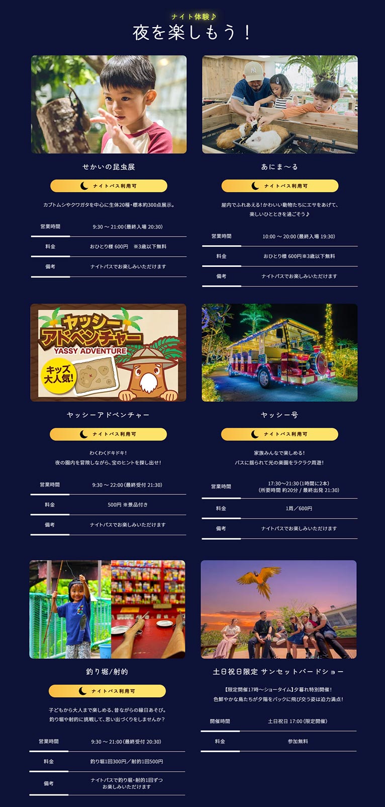 2024年10月25日～2025年5月25日　日本最高レベルの輝きを沖縄で『南国イルミネーション2025-2026』美らヤシパークオキナワ・東南植物楽園