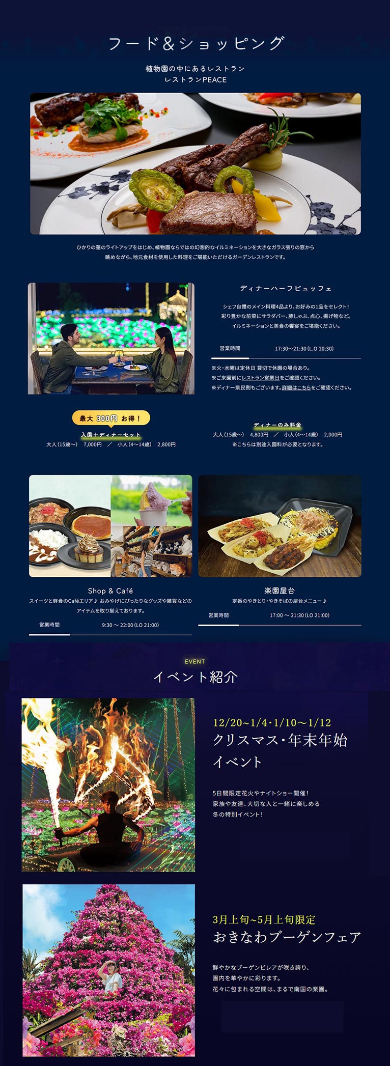 2024年10月25日～2025年5月25日　日本最高レベルの輝きを沖縄で『南国イルミネーション2025-2026』美らヤシパークオキナワ・東南植物楽園