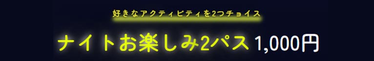 2024年10月25日～2025年5月25日　日本最高レベルの輝きを沖縄で『南国イルミネーション2025-2026』美らヤシパークオキナワ・東南植物楽園