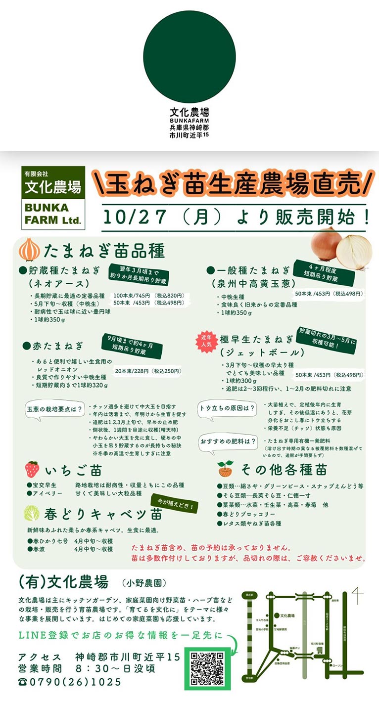 『2025年度分 玉ねぎ苗販売』有限会社 文化農場