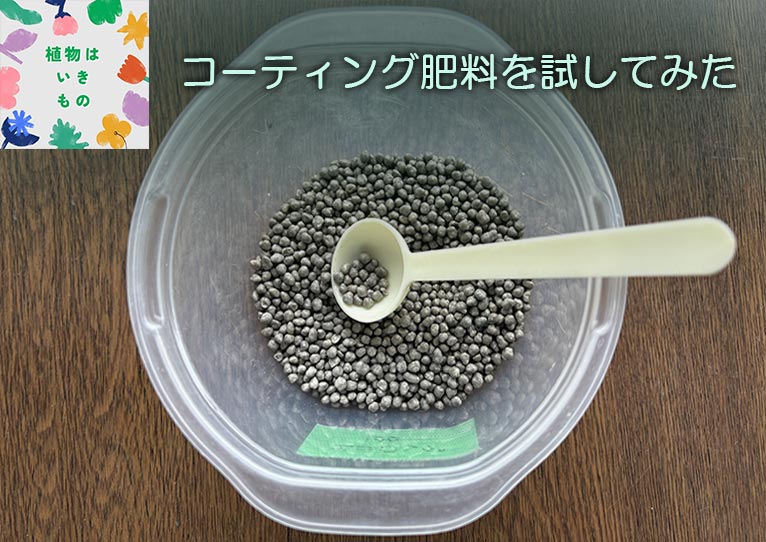 コーティング肥料を試してみた　コラム「植物はいきもの」