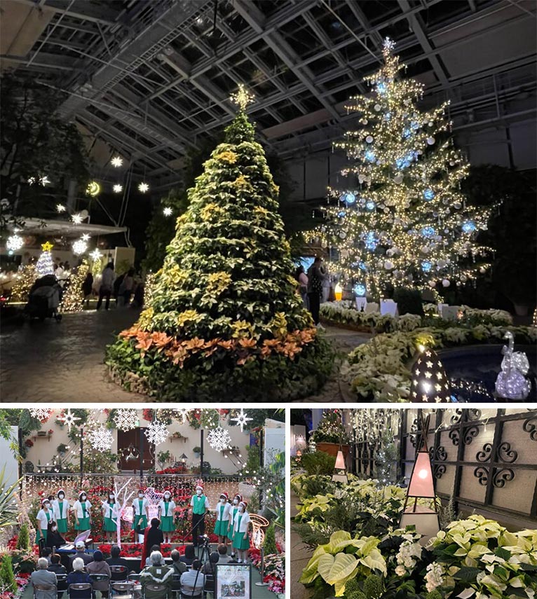 2025年11月22日〜 2026年1月4日 はままつフラワーパーク『フラワー・イルミネーション2025』12月6・7・13・14・20・21・25日『クリスマスコンサート』