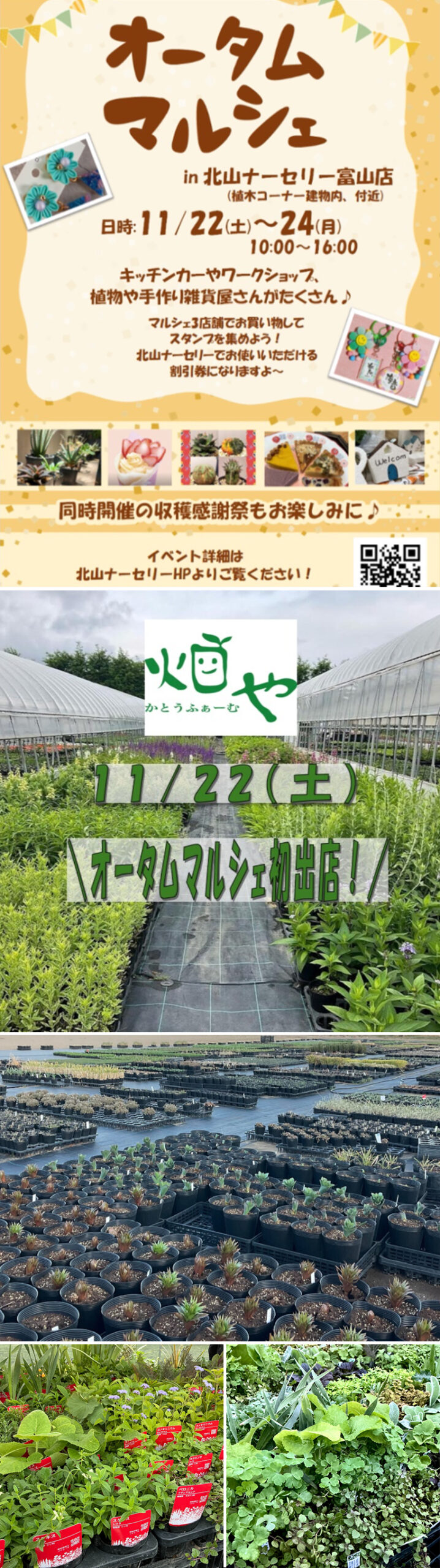 2025年11月22日畑やかとうふぁーむは、『オータムマルシェ in 北山ナーセリー富山店』に出店します
