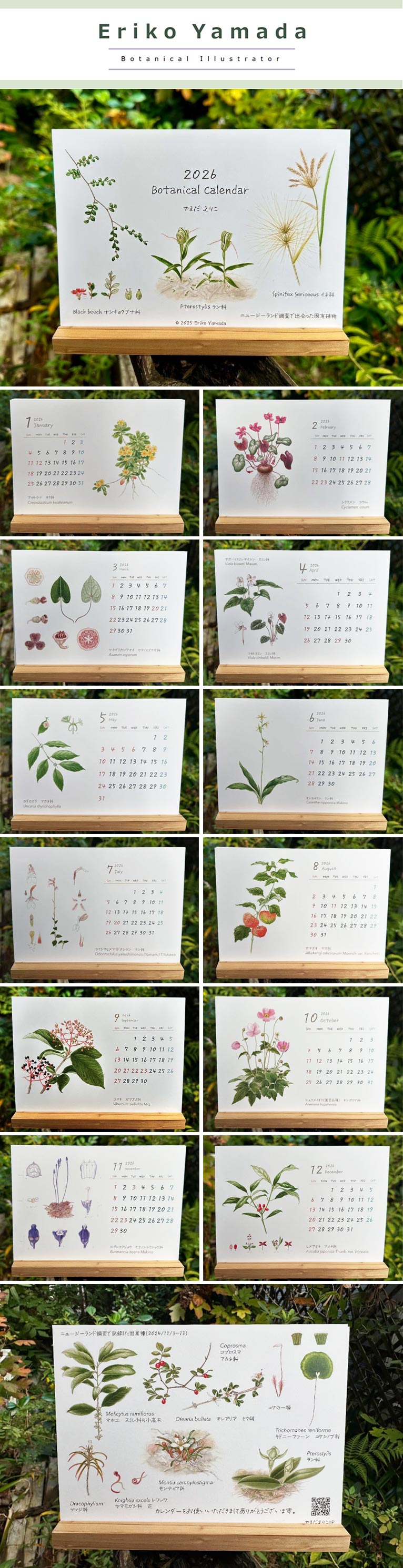 『2026ボタニカルカレンダー』やまだえりこ