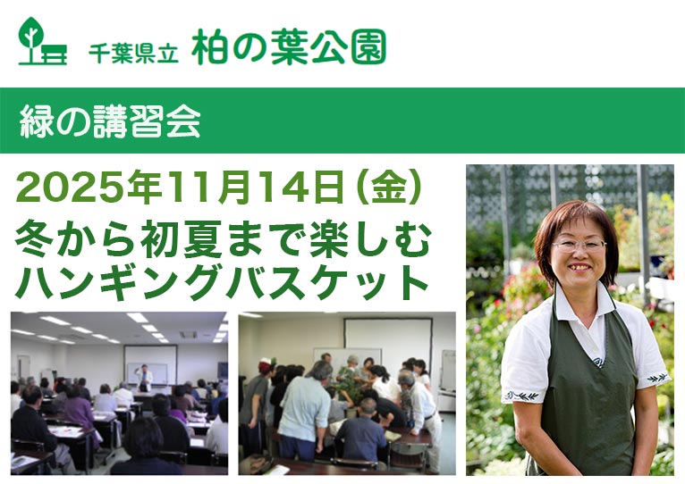 2025年11月14日『冬から初夏まで楽しむハンギングバスケット』講師：JGN創立メンバー 山口 まり氏千葉県立柏の葉公園　緑の講習会