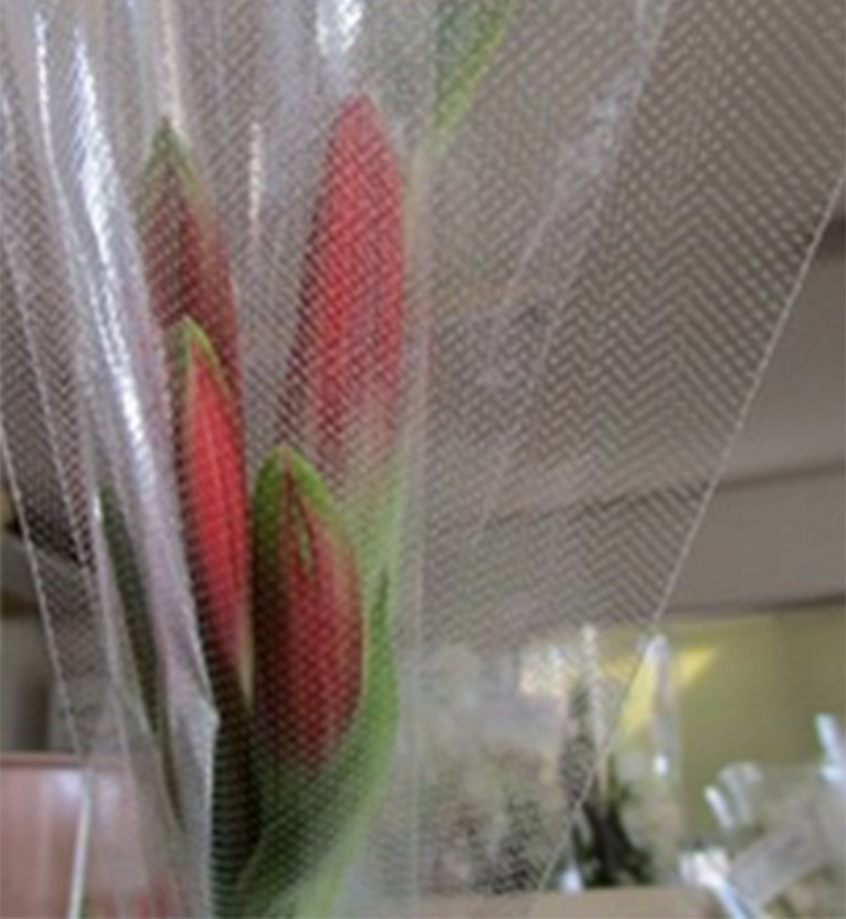 レアな切り花3種類 三宅花卉園