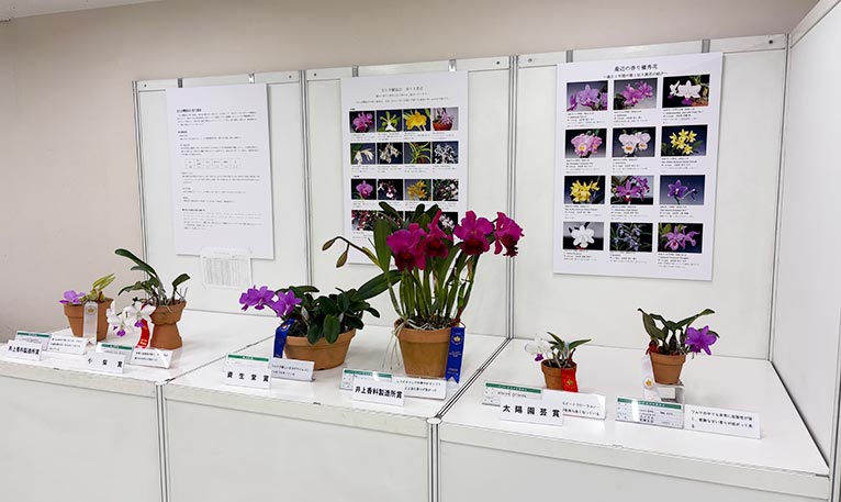 2026年1月8～12日第65回全日本蘭協会洋らん展　サンシャインシティ世界のらん展2026　～彩と香りの世界へようこそ～ サンシャインシティ世界のらん展2026を訪問しました 香りに関する展示