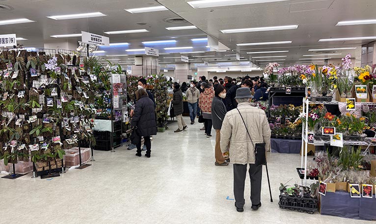 2026年1月8～12日第65回全日本蘭協会洋らん展　サンシャインシティ世界のらん展2026　～彩と香りの世界へようこそ～ サンシャインシティ世界のらん展2026を訪問しました ランをはじめ様々な植物の販売も